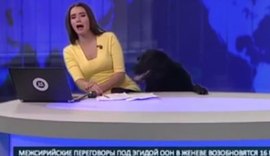 Cão invade estúdio de telejornal e assusta apresentadora; assista