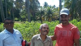 Mobilização de populares encontra idoso desaparecido em São Miguel dos Milagres