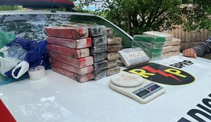 Em quatro meses, apreensões de drogas crescem 435% em Alagoas