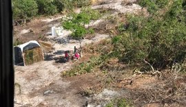 IMA lavra auto de R$ 750 mil por desmatamento de 100 hectares em Piaçabuçu