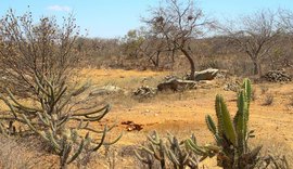 Plataforma reúne dados econômicos e sociais sobre região da caatinga no Nordeste