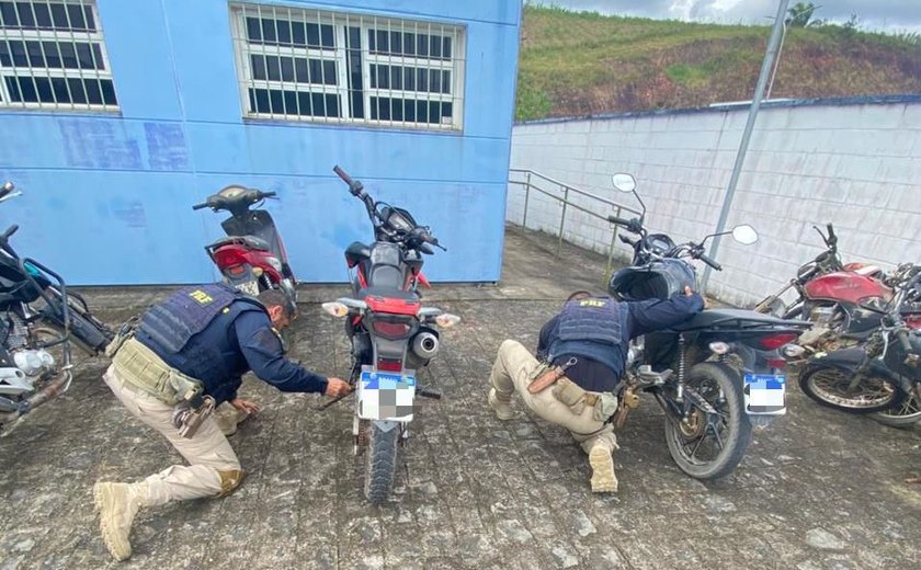 PRF prende homem por receptação e adulteração de sinais identificadores em Joaquim Gomes