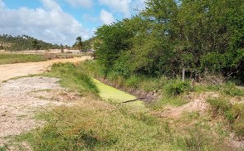 MPF apura movimento de terra em manguezal no município de Maragogi