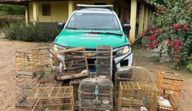 BPA apreende armas e resgata animais silvestres durante operação na Zona da Mata