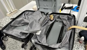 Estrangeiro é preso transportando 4,6 kg de cocaína em aeroporto de Maceió