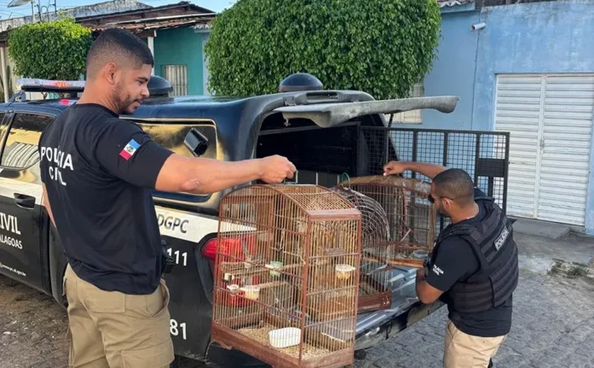 Polícia Civil deflagra operação com mais de 35 mandados contra suspeitos de crimes no interior de Alagoas
