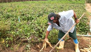Alimentos da agricultura local serão apresentados em feira internacional