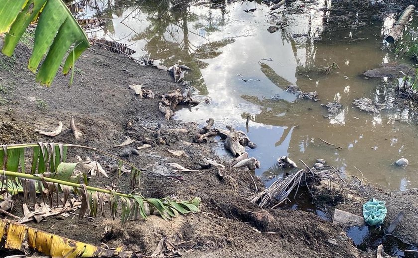 IMA e Batalhão Ambiental flagram abate clandestino de carne em São Luís do Quitunde