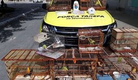 Após abordagem no terminal do Vergel, BPTran detém suspeito de crime ambiental