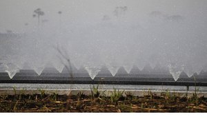 Câmara aprova MP que altera Política Nacional de Irrigação