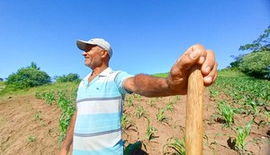 Projeto garante terra, assistência técnica e comercialização em Viçosa