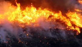 Brigadistas combatem incêndio em Cavalcante, Goiás