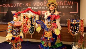 Folião espalha alegria mesmo sem carnaval, adiado mais uma vez pela pandemia