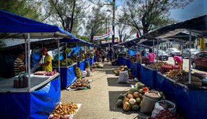 Com a expectativa de comercializar 350 toneladas de alimentos, MST realiza feira em Maceió nesta quarta (3)