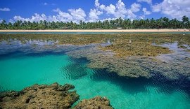 Metade dos brasileiros com intenção de viajar nos próximos meses irá para o Nordeste