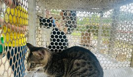 Unit realiza Feira Pet nesta terça-feira (16)
