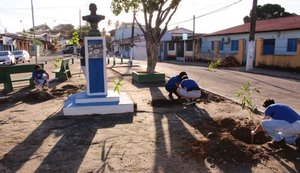 Maceió+Verde inicia plantio de mudas de árvores em Ipioca