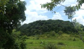 Incra já está liberando consulta e emissão de Certificado de Cadastro de Imóvel Rural