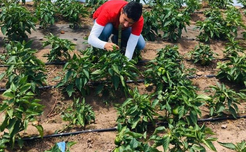 Agreste Saneamento beneficia produtores de orgânicos com doação de mantas