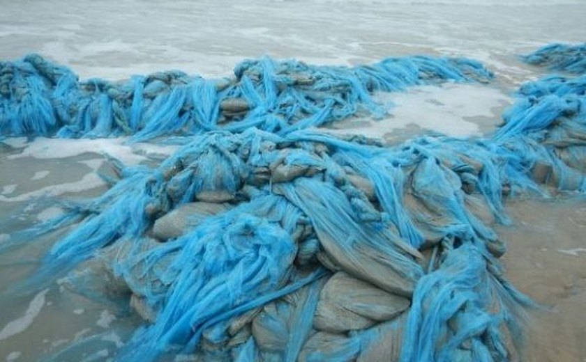 IMA identifica que material encontrado em praia é formado por sacolas plásticas