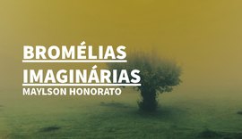 Jornalista alagoano Maylson Honorato estreia na ficção com ‘Bromélias Imaginárias’; livro está em pré-venda