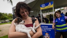 Feira de Adoção garante novos lares e acolhimento responsável para cães e gatos