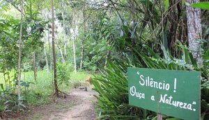 Projeto Arboretum: de terreno abandonado à área reflorestada