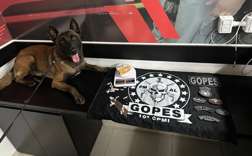 PM apreende quatro armas, mais de 1 kg de drogas e recupera veículo roubado em operações