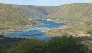 Codevasf e prefeituras de Alagoas, BA, GO, MG e SE se unem para recuperação de nascentes