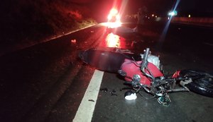 Motociclista morre ao colidir com cavalo na AL-220 em Arapiraca
