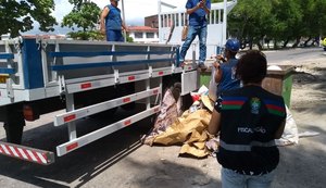 Slum flagra descarte irregular próximo ao ecoponto do Dique Estrada