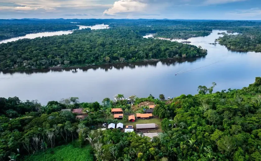 BNDES lança edital voltado para recuperação da floresta amazônia