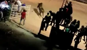 Touro invade arquibancada e fere 13 pessoas durante rodeio em Minas