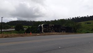Carreta que transportava eletrodomésticos tomba na BR-101