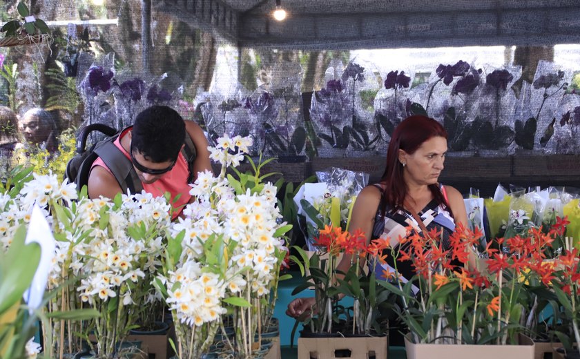 Pesquisadores de associação catalogam nova orquídea descoberta no agreste alagoano