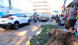 Paisagem histórica sofre alterações com retirada de árvores centenárias no Centro