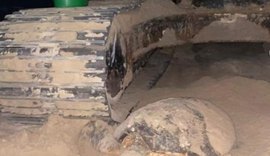 Tartaruga marinha desova em canteiro de obras na praia da Jatíuca