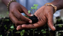 Plantio de mudas do Prêmio Octávio Brandão se transforma em aula de campo para crianças
