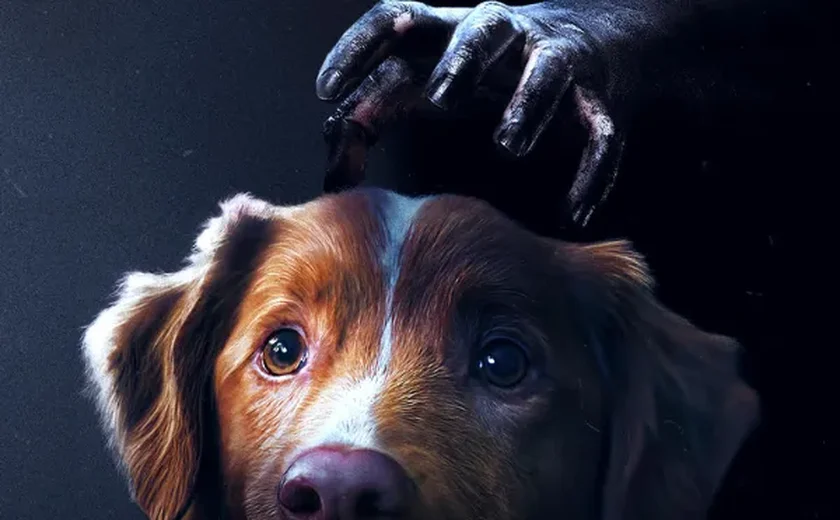 Terror sob o ponto de vista de um cachorro estreia nos cinemas