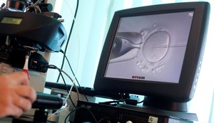 CFM já permite reprodução com material de casal do sexo masculino