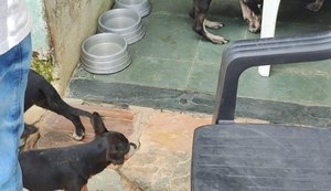 Abrigo clandestino de animais é interditado no Conjunto João Sampaio