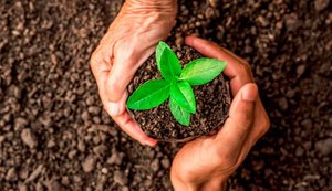 Pindorama participa das comemorações ao Dia Mundial do Meio Ambiente