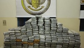Polícia Civil apreende 90 Kg de maconha após investigação