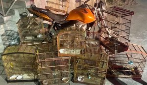 Batalhão Ambiental apreende arma, recupera moto roubada e resgata animais silvestres