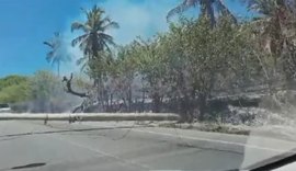Incêndio em vegetação às margens da AL-101 Norte derruba dois postes e deixa caos no trânsito
