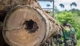 Desmatamento ameaça áreas protegidas da Bacia do Rio Xingu