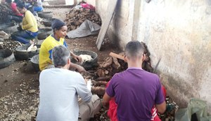 Relatório do MTE aponta mais 100 autos de infração em casas de farinha