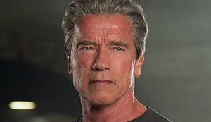 Avião de Arnold Schwarzenegger faz pouso forçado na Inglaterra