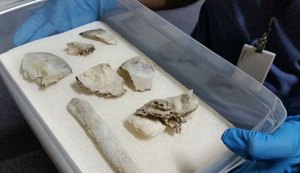 Fragmentos do crânio de Luzia são encontrados no Museu Nacional