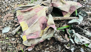 Ossada humana é encontrada na região do Poxim em Coruripe